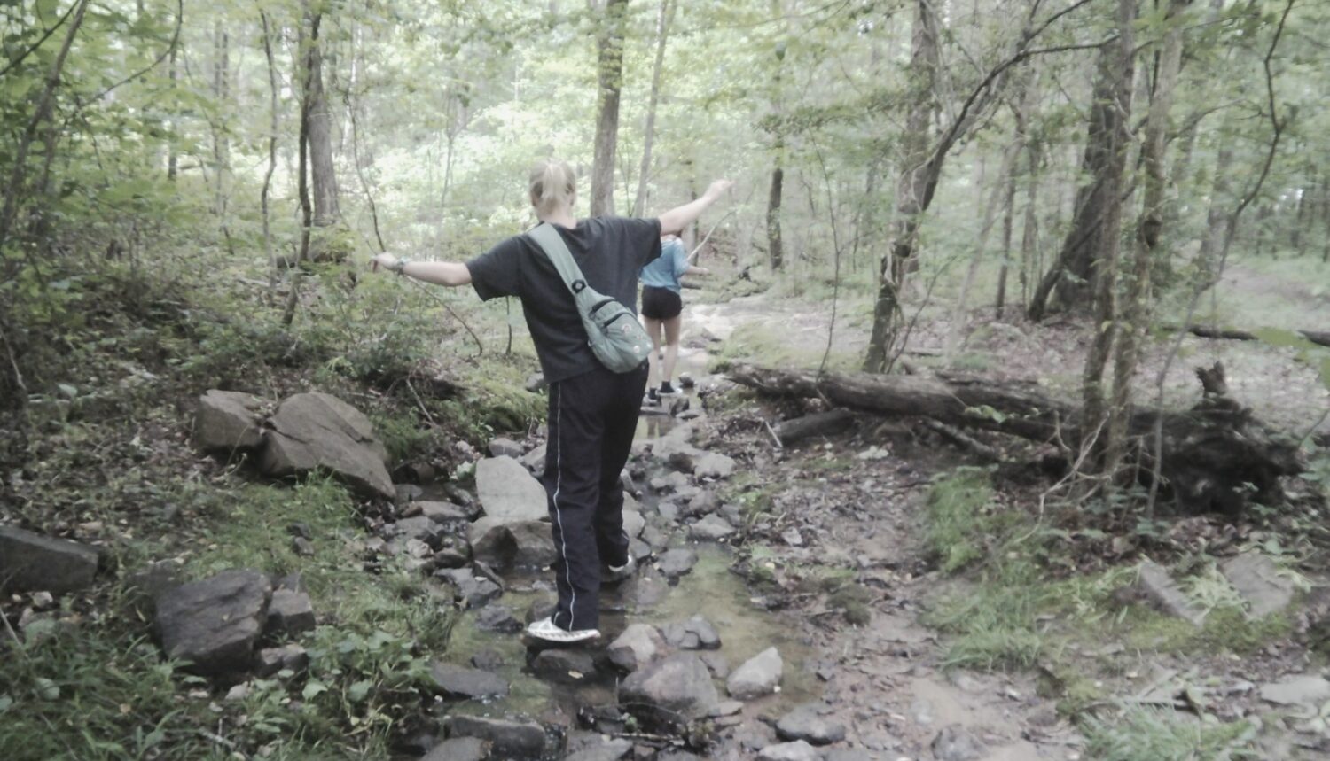 Abby's Environmental Communications Blog